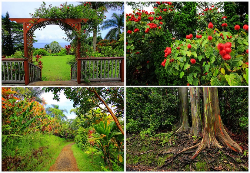 Gardens of Maui