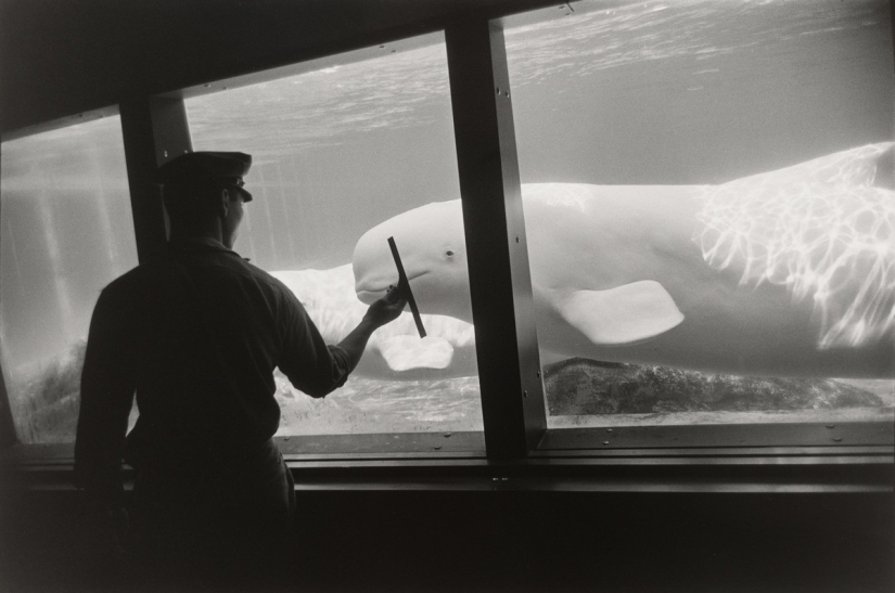 Garry Winogrand – el gigante de la fotografía callejera