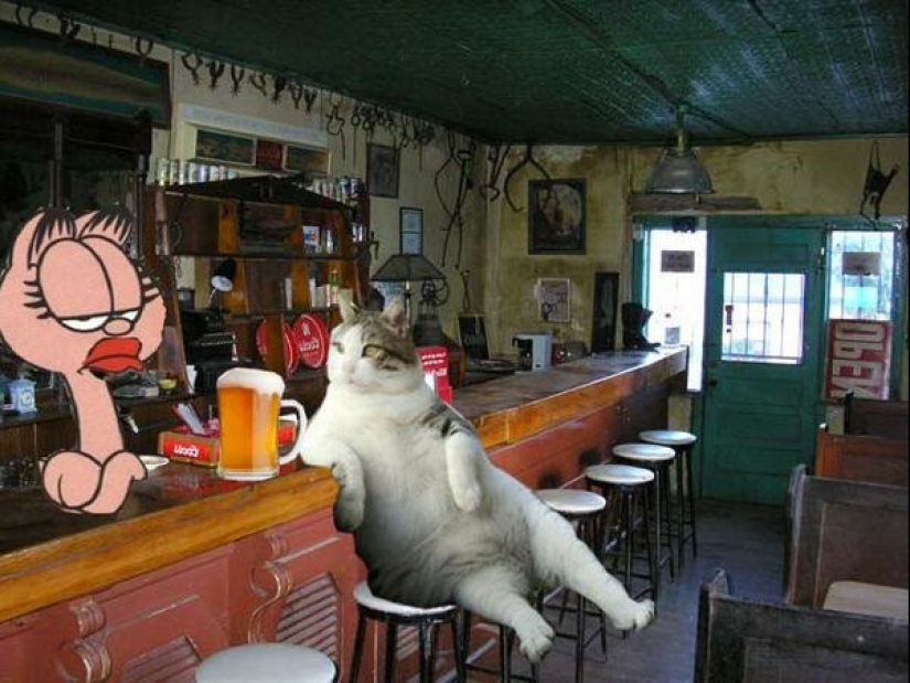 Gato Tombili de Estambul, a quien se le erigió un monumento por una pose imponente