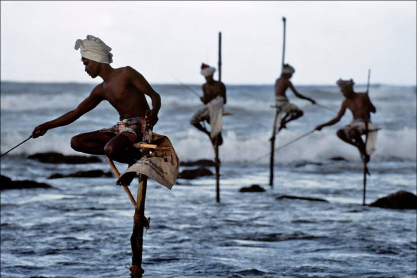 Gente en el trabajo: foto de Steve McCurry