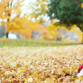 Gentle erotic photo shoots in the autumn landscape