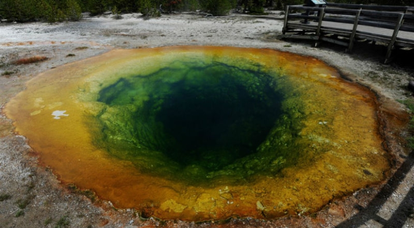 Geysers, bison, and other sights of Yellowstone