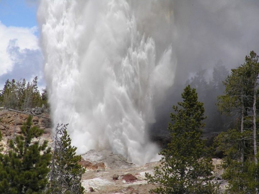 Geysers, bison, and other sights of Yellowstone