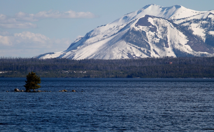 Geysers, bison, and other sights of Yellowstone