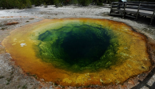 Geysers, bison, and other sights of Yellowstone