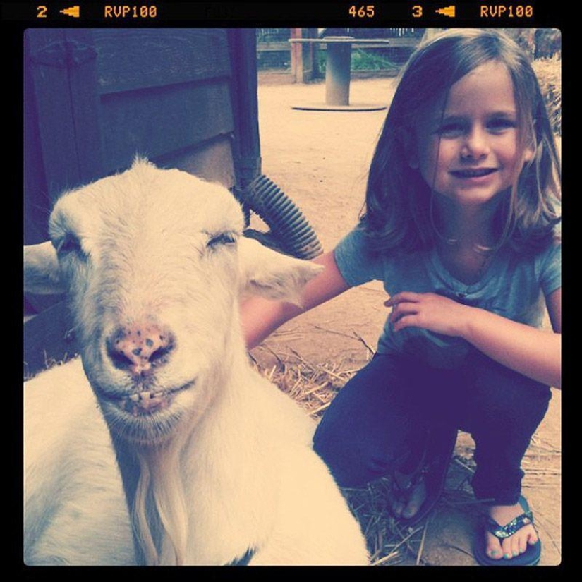 Goat-smiles