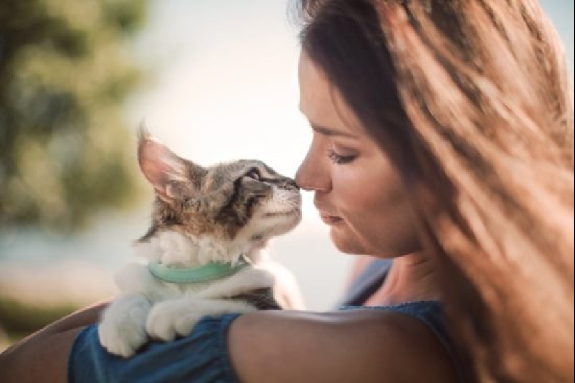 Good and fluffy: the study proves that cat lady is not lonely hysteric