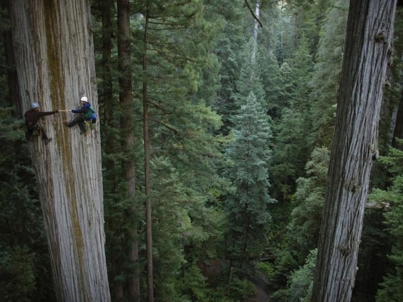 Goosebumps: 25 adrenaline photo from which the breath away