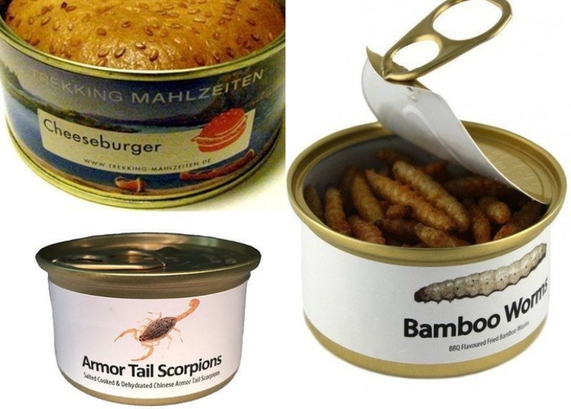 Grasshoppers, alligator, bread and corn... fungus: the craziest canned