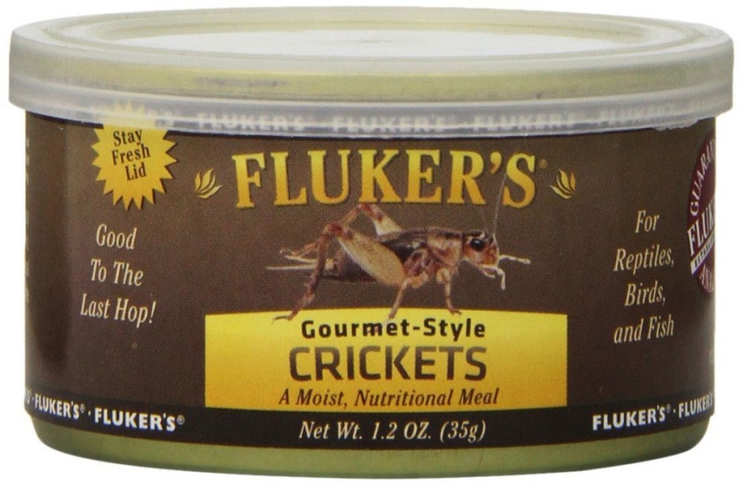 Grasshoppers, alligator, bread and corn... fungus: the craziest canned