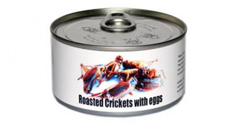 Grasshoppers, alligator, bread and corn... fungus: the craziest canned