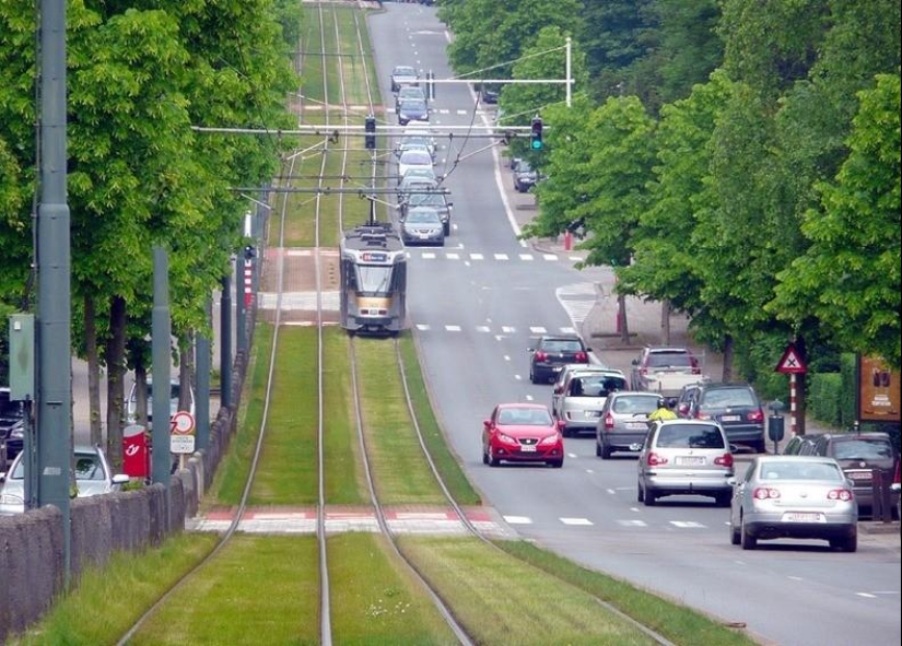 Green tram tracks in Europe