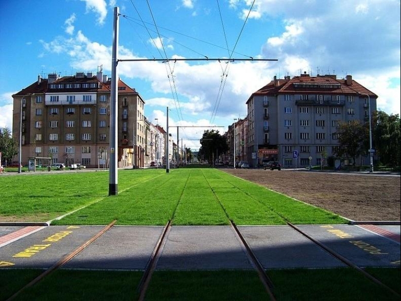 Green tram tracks in Europe