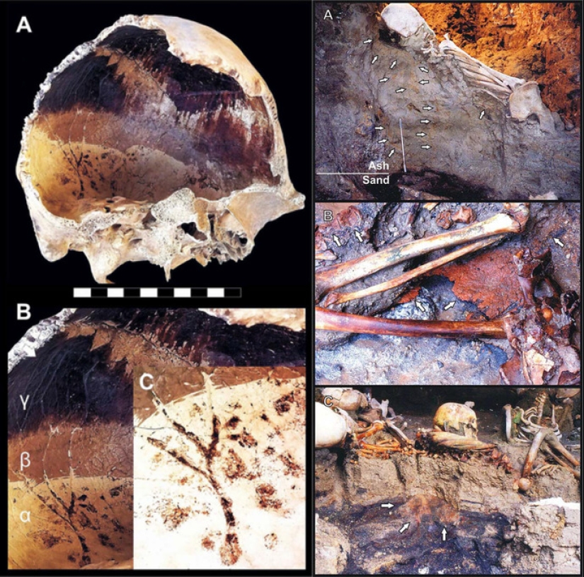 Gritos de dolor y sangre hirviendo: los arqueólogos contaron cómo murieron los habitantes de Pompeya