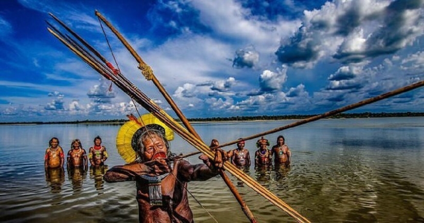 Guardianes de la Amazonía: ¿cómo tribus indígenas en el Brasil de hoy