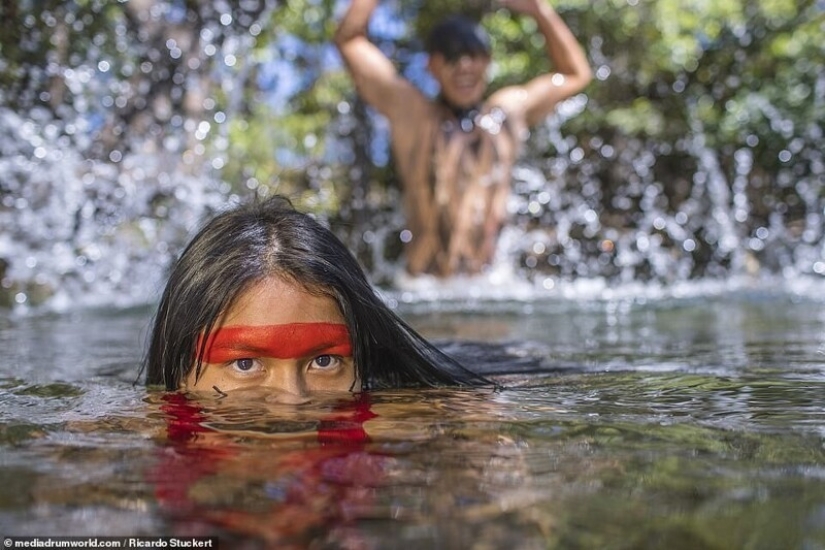 Guardianes de la Amazonía: ¿cómo tribus indígenas en el Brasil de hoy