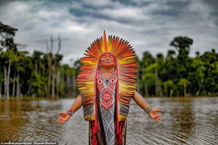 Guardianes de la Amazonía: ¿cómo tribus indígenas en el Brasil de hoy