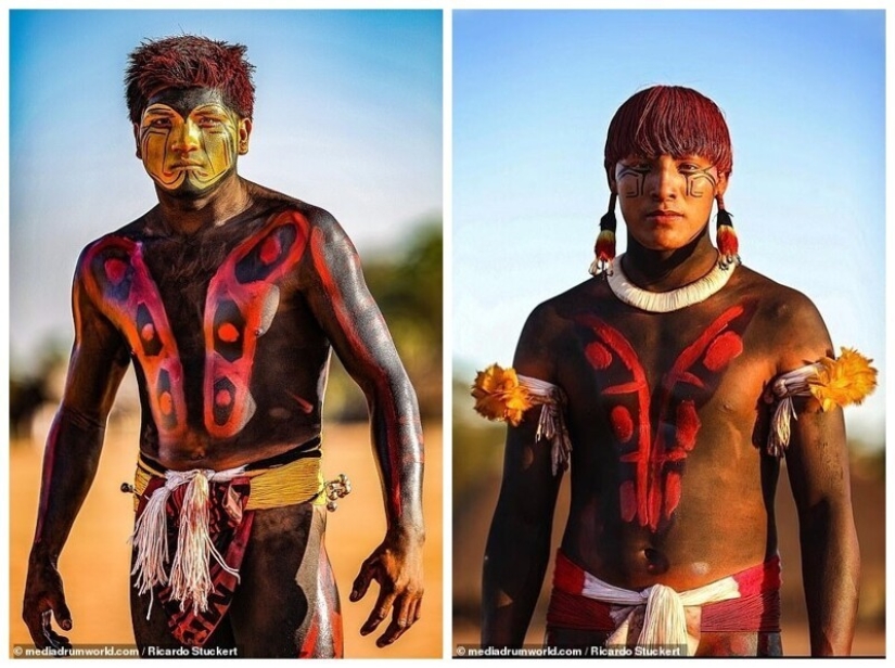 Guardians of the Amazon: how indigenous tribes in Brazil today