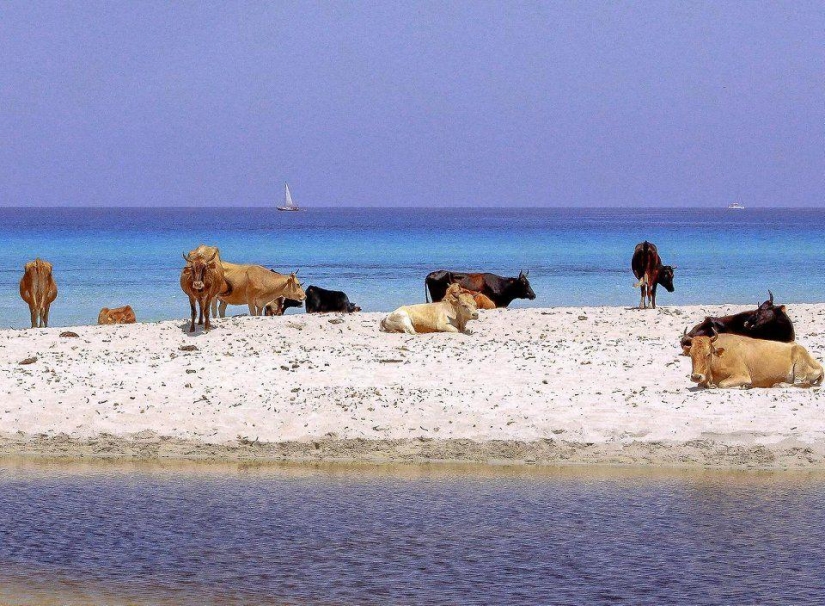 Gulpiyuri and 15 of the most unusual beaches of the world