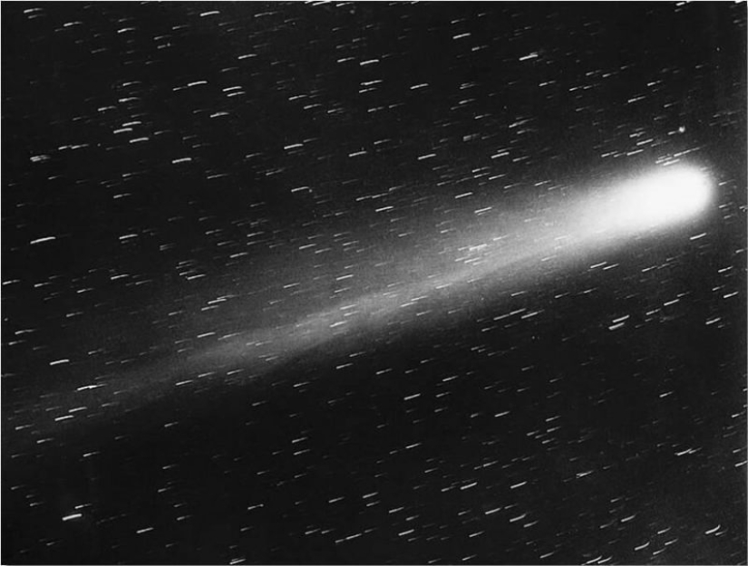 Halley's Comet and the failed Apocalypse of 1910