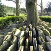 Hardy's gravestone tree with hundreds of tombstones