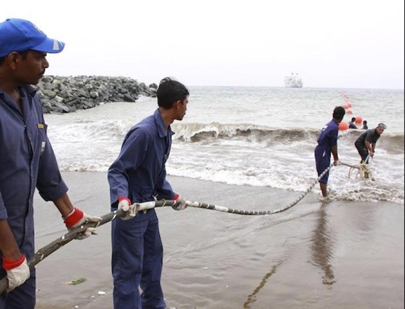 Hay que proteger Internet ... ataques de tiburones