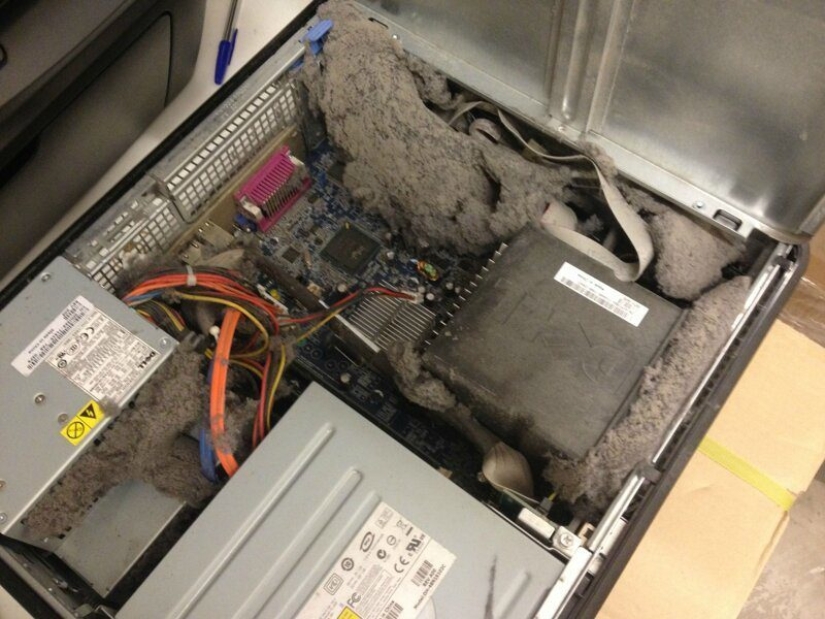 "He was recently cleaned," or the Harsh everyday life of a computer equipment repairman