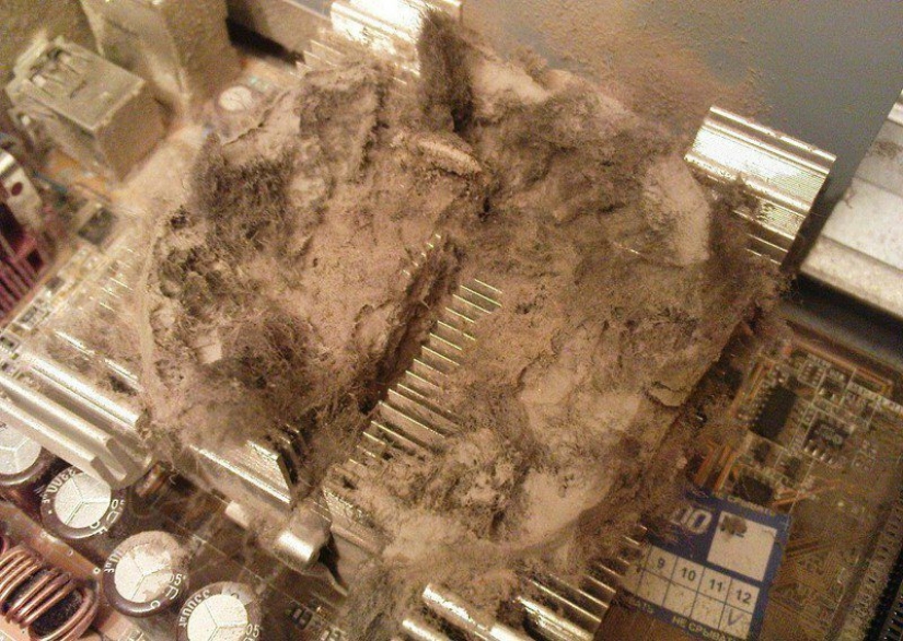 "He was recently cleaned," or the Harsh everyday life of a computer equipment repairman