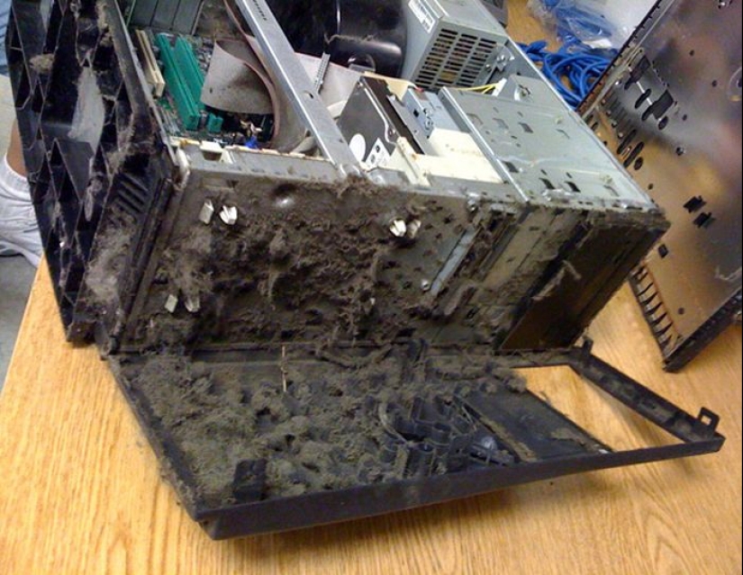 "He was recently cleaned," or the Harsh everyday life of a computer equipment repairman