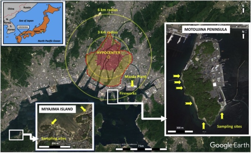 Hirosimitas: artefactos asombrosos creados por una explosión nuclear