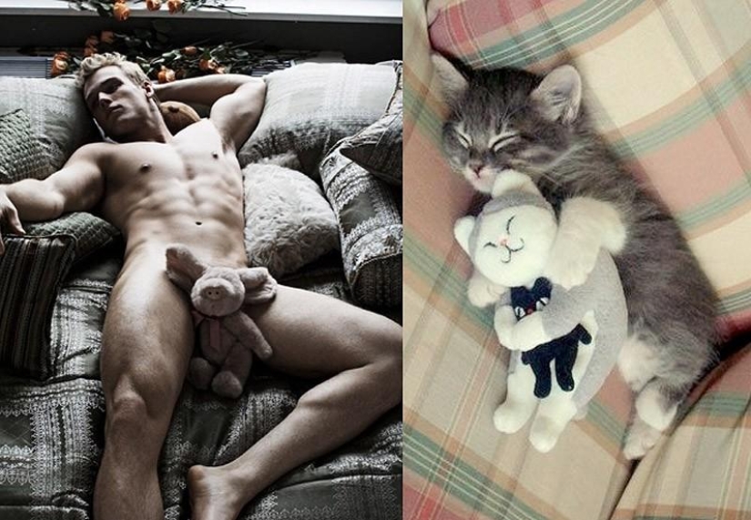 Hombres vs gatos