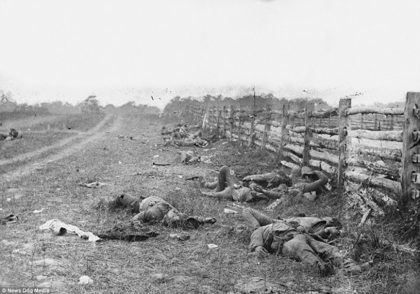 Horribles fotos de víctimas de la guerra más sangrienta de la historia de Estados Unidos