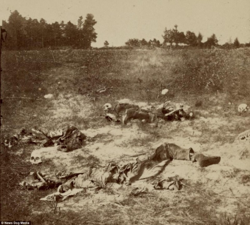 Horribles fotos de víctimas de la guerra más sangrienta de la historia de Estados Unidos