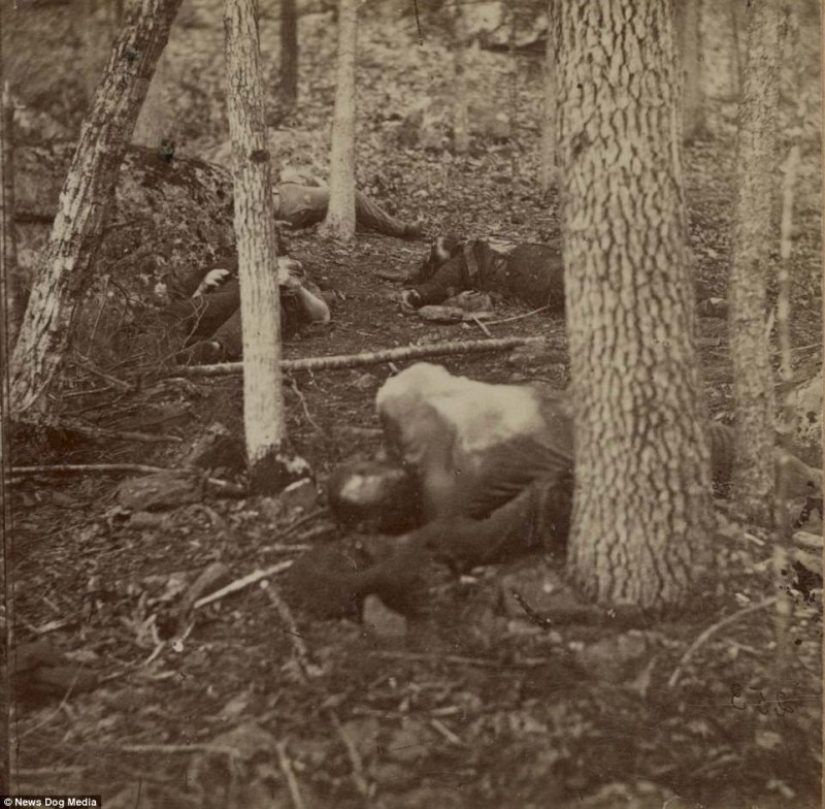 Horrifying photos of victims of the bloodiest war in US history