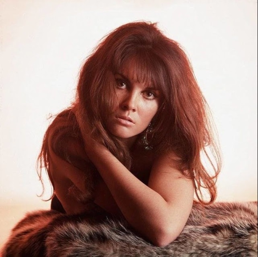 Hot brown-haired woman from the foggy Albion: seductive Caroline Munro