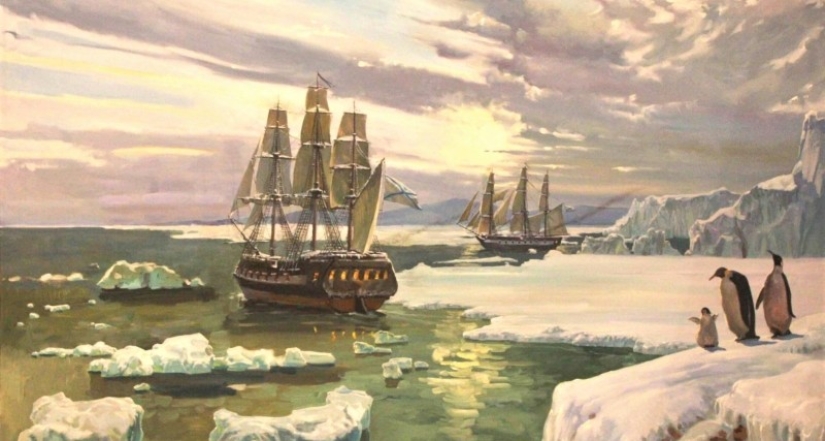 How did the Arctic and Antarctic get their names?