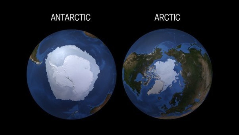 How did the Arctic and Antarctic get their names?