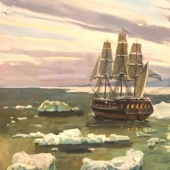 How did the Arctic and Antarctic get their names?