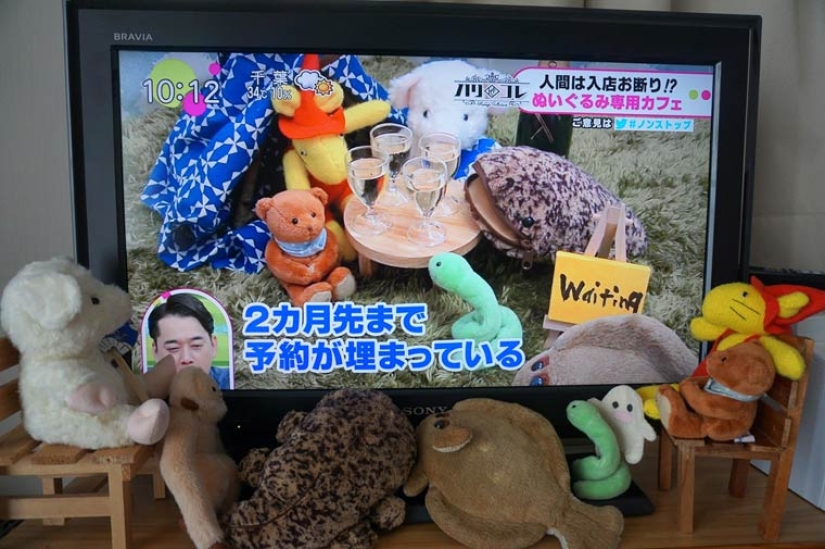 How does a Japanese plush toy cafe work?