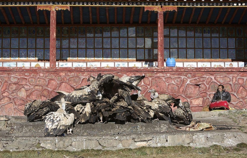 How does the "heavenly burial" take place in Tibet