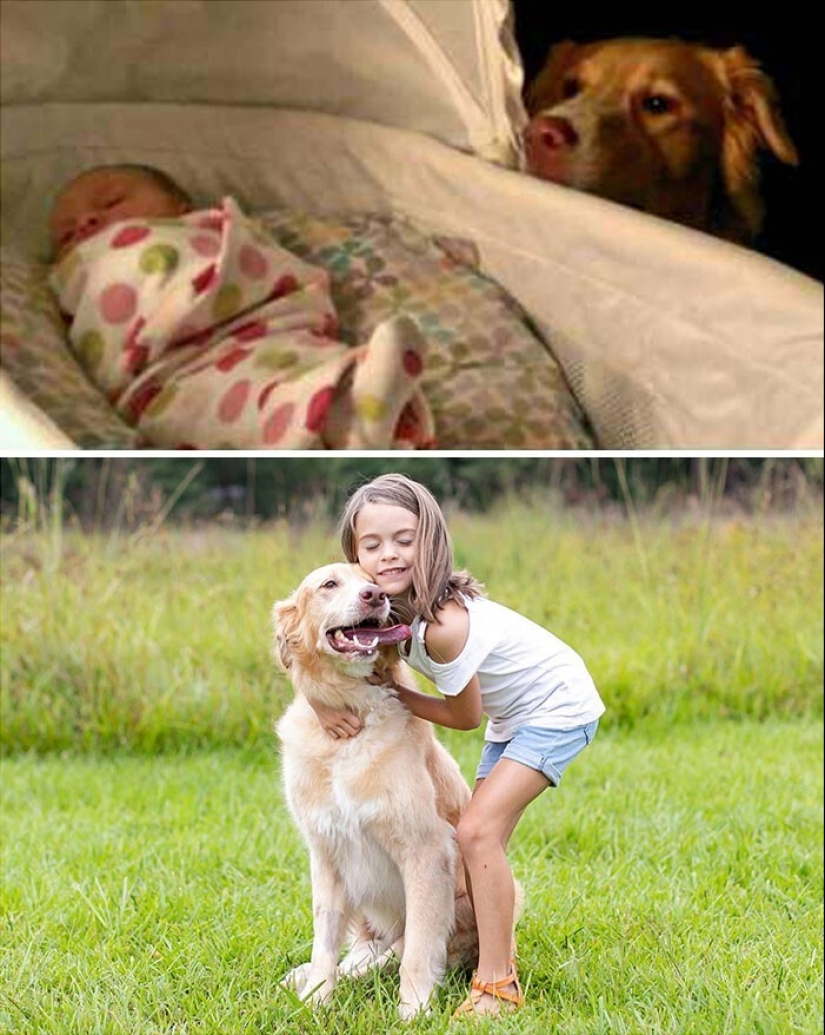 How fast they grow: 30 photos with dogs in the style of "then and now"