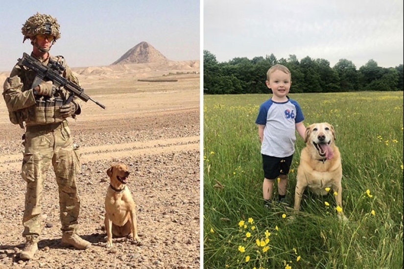 How fast they grow: 30 photos with dogs in the style of "then and now"