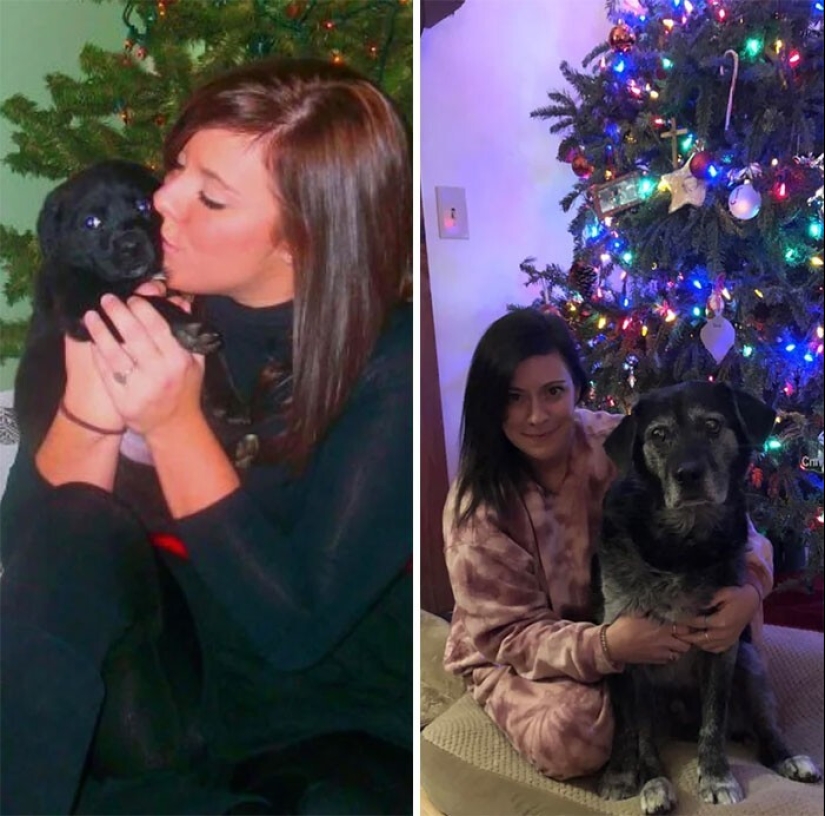 How fast they grow: 30 photos with dogs in the style of "then and now"