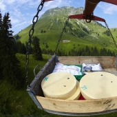 How is Swiss cheese made?