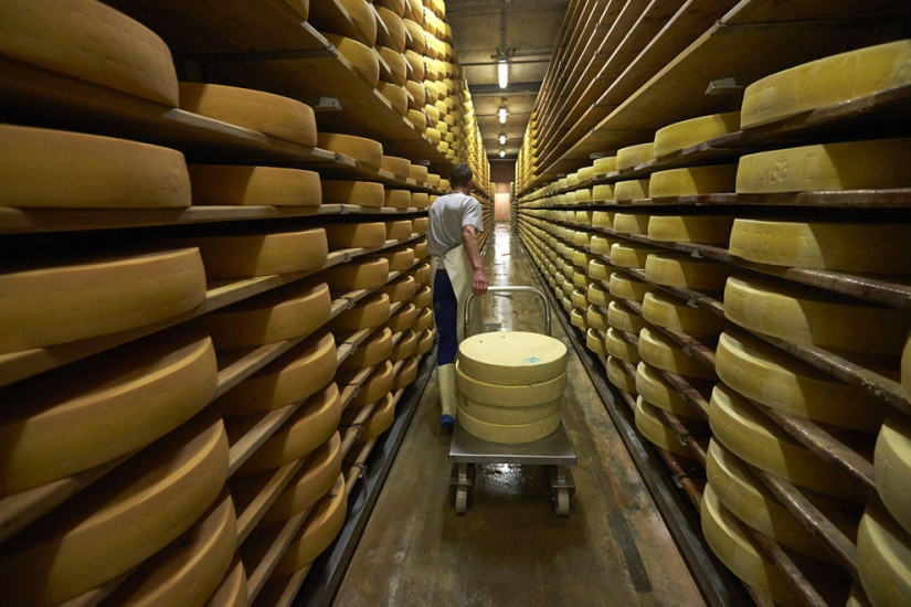 How is Swiss cheese made?