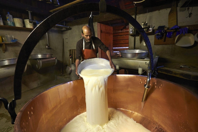 How is Swiss cheese made?