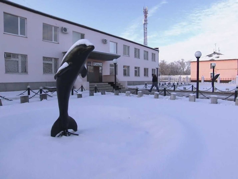 How one of the most severe prisons in Russia "Black Dolphin"is arranged