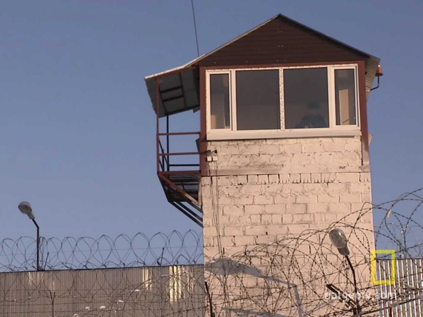 How one of the most severe prisons in Russia "Black Dolphin"is arranged