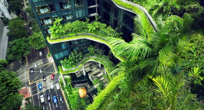 How Singapore became the greenest metropolis on the planet