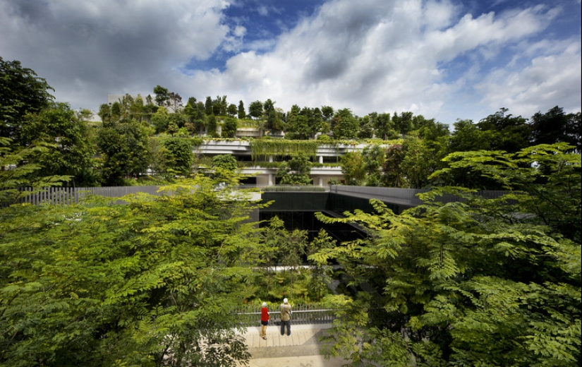 How Singapore became the greenest metropolis on the planet